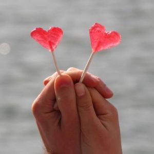 vakantiepark_tenzer_gallery3